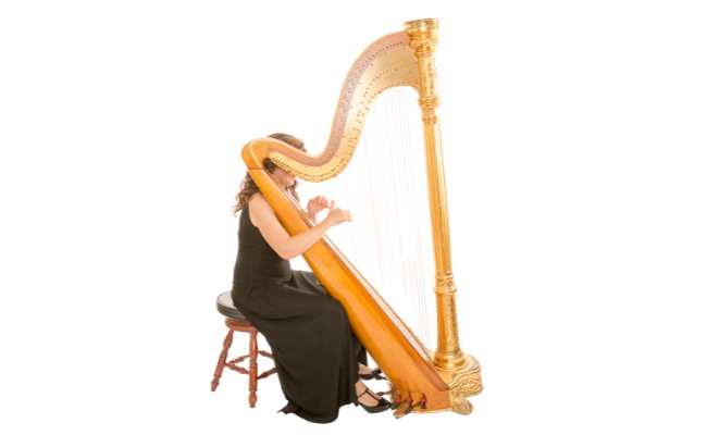 The harp