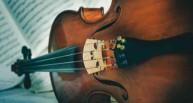 violin buying guide for beginners