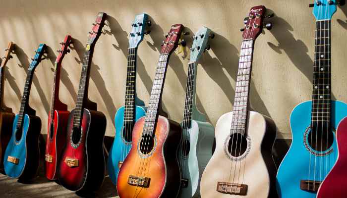 Types Of Acoustic Guitars