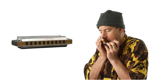 Harmonica best for beginners