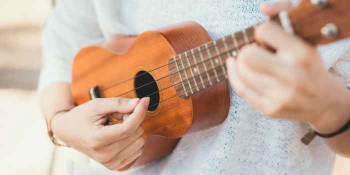 Learning The Ukulele In Six Months: Is It Possible?