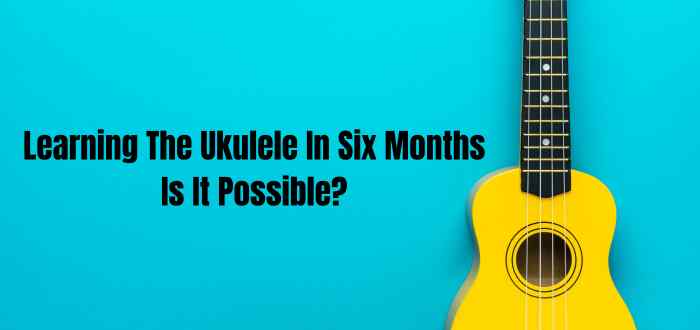 Learning The Ukulele In Six Months: Is It Possible?